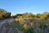 CAMPO EN VENTA, QUIMILI, SANTIAGO DEL ESTERO, 25 ha.