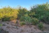 CAMPO EN VENTA, QUIMILI, SANTIAGO DEL ESTERO, 25 ha.