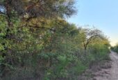 CAMPO EN VENTA, QUIMILI, SANTIAGO DEL ESTERO, 25 ha.