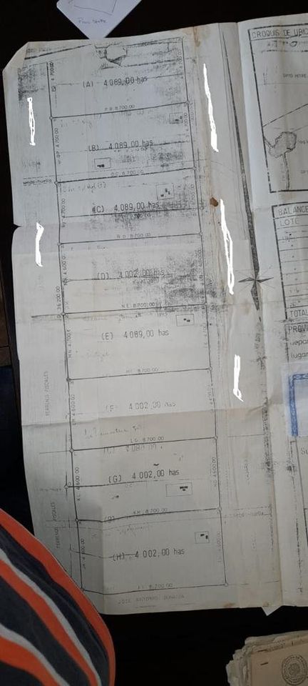 CAMPOS A DESARROLLAR