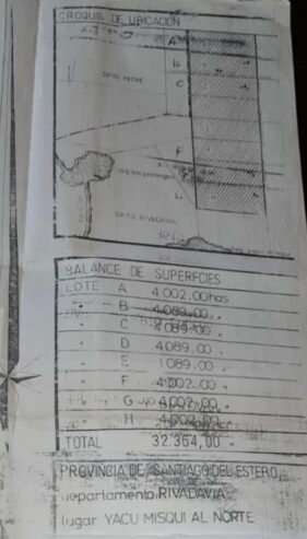 CAMPOS A DESARROLLAR