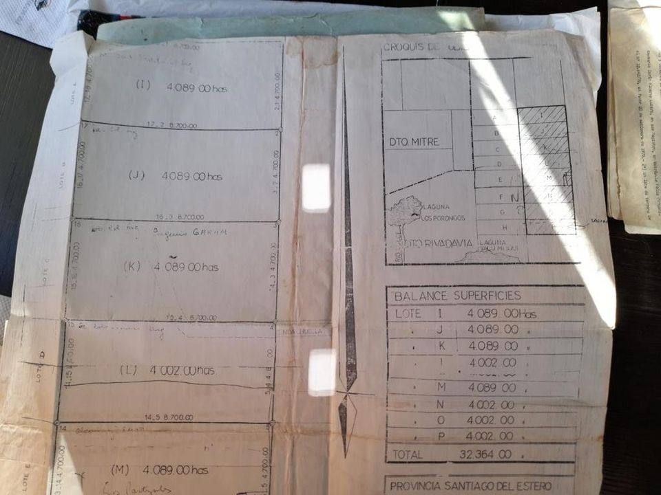 CAMPOS A DESARROLLAR