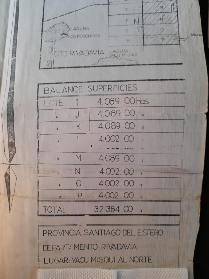 CAMPOS A DESARROLLAR