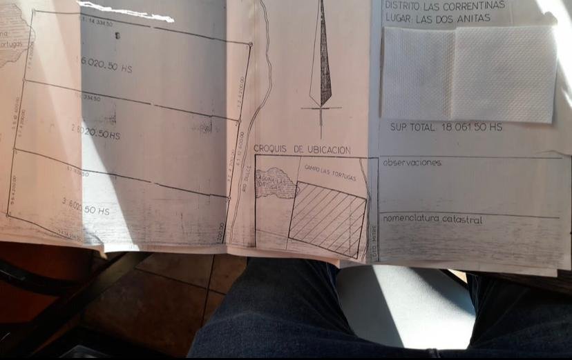 CAMPOS A DESARROLLAR