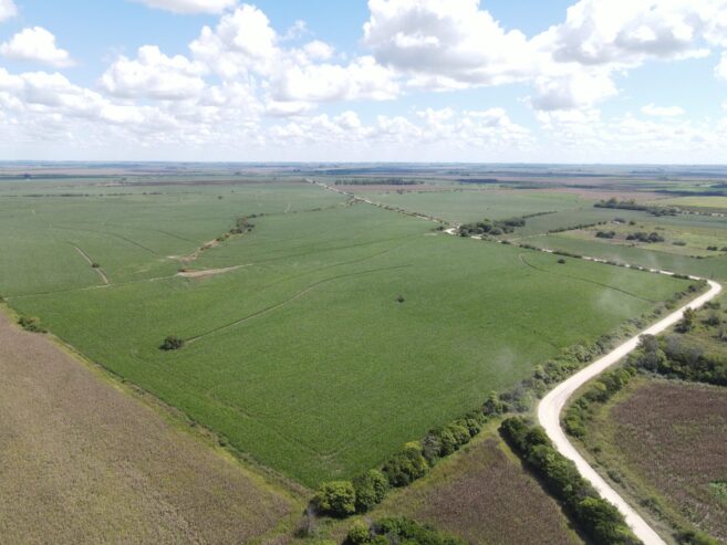 Excelente y único campo en don Cristóbal segundo
