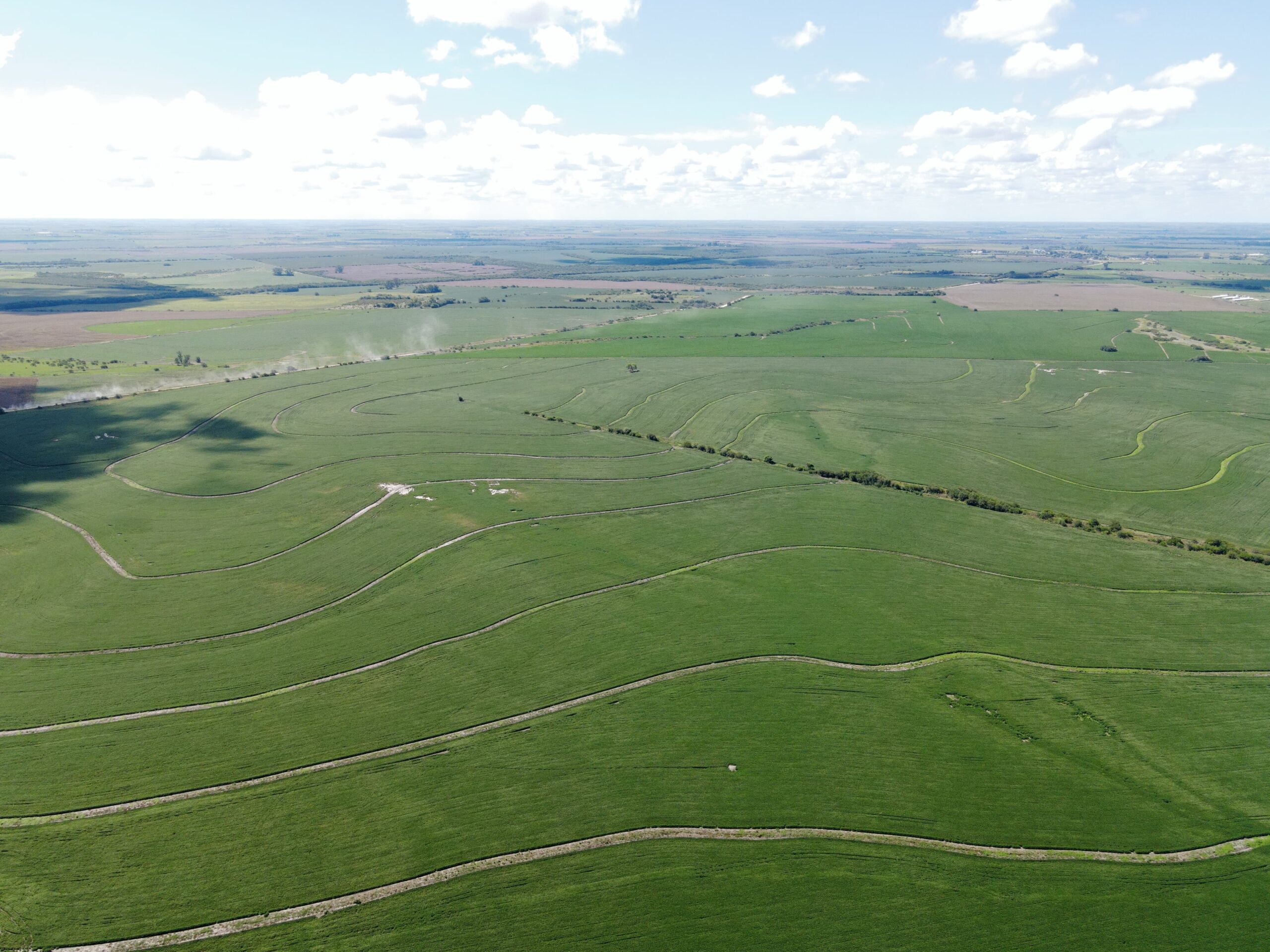 Excelente y único campo en don Cristóbal segundo
