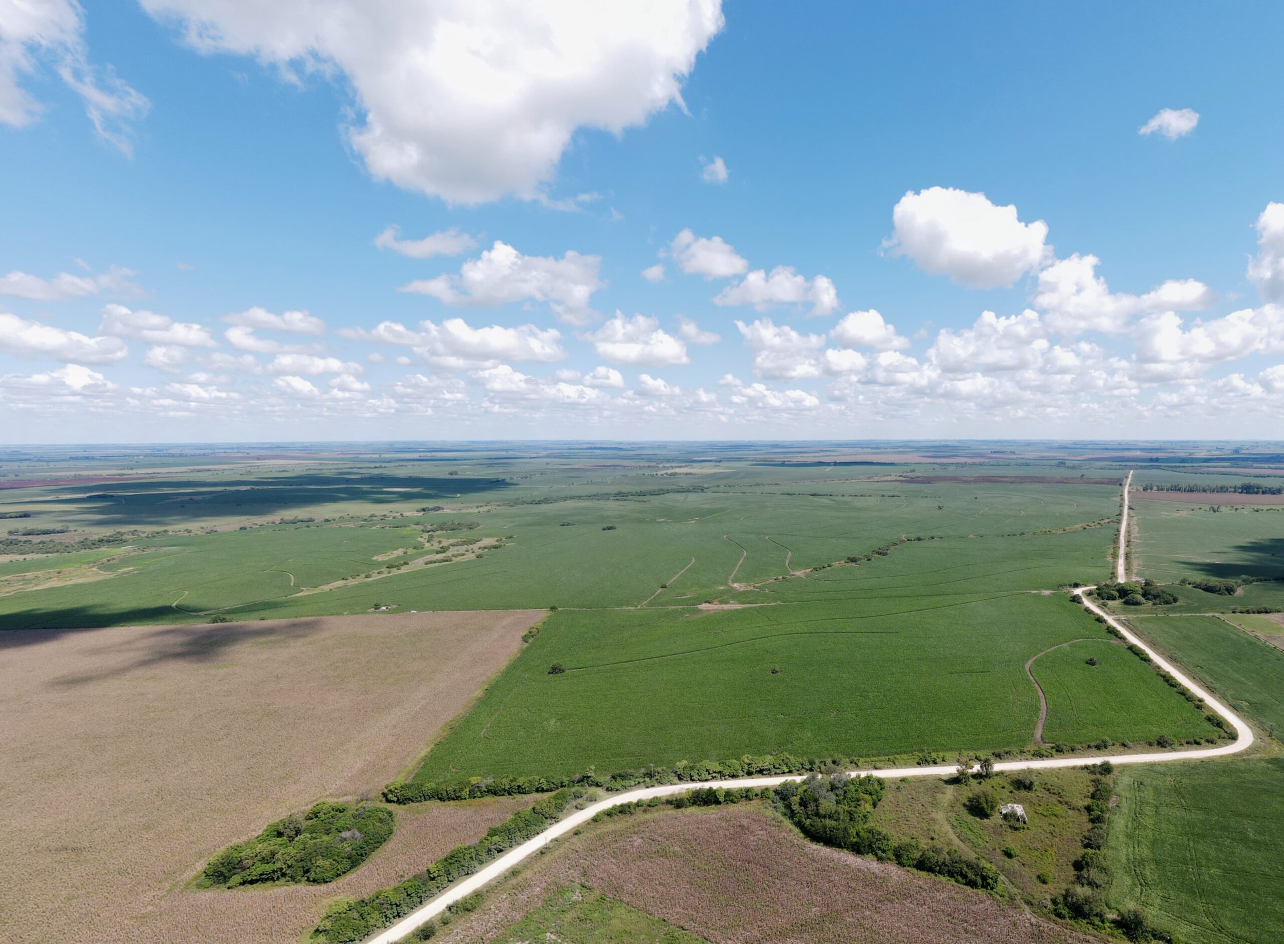 Excelente y único campo en don Cristóbal segundo