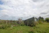 Inmobiliaria Vende Campo De 71 Has Mixtas En Ferrari. Magdalena