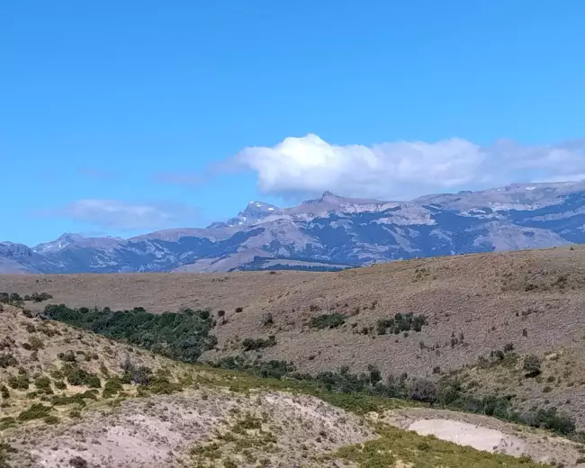 Campo en Venta de 220 Hectáreas en San Martin de los Andes