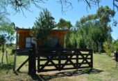 Inmobiliaria Vende Campo De 71 Has Mixtas En Ferrari. Magdalena