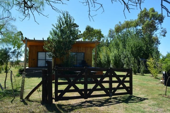 Inmobiliaria Vende Campo De 71 Has Mixtas En Ferrari. Magdalena