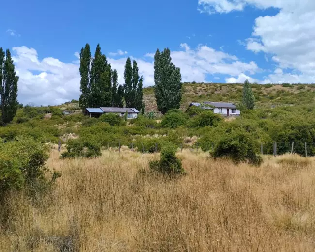 Campo en Venta de 220 Hectáreas en San Martin de los Andes