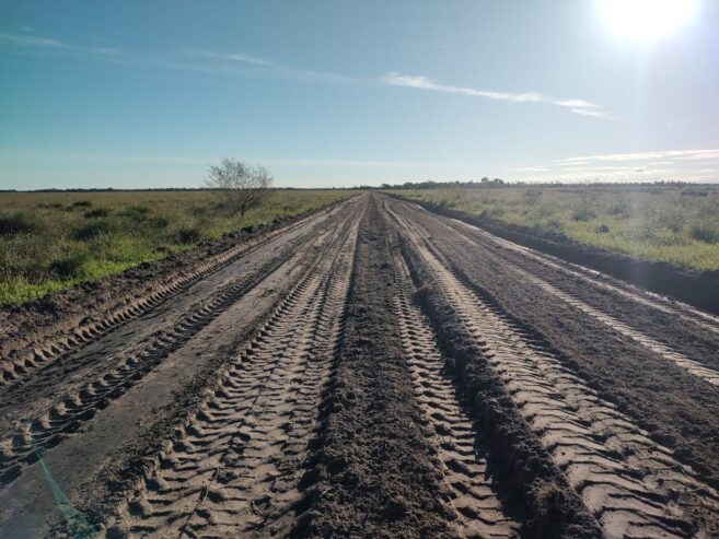 Campo ganadero