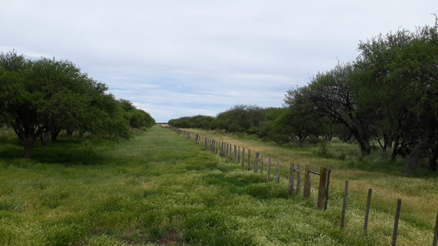 Oportunidad! Inmobiliaria Vende 1.250 ha mixtas en Utracán. Pcia. La Pampa