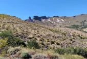 Campo en Venta de 220 Hectáreas en San Martin de los Andes