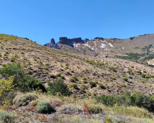 Campo en Venta de 220 Hectáreas en San Martin de los Andes