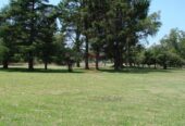 Casa Campo en venta, Arenaza, Lincoln, BA 6075