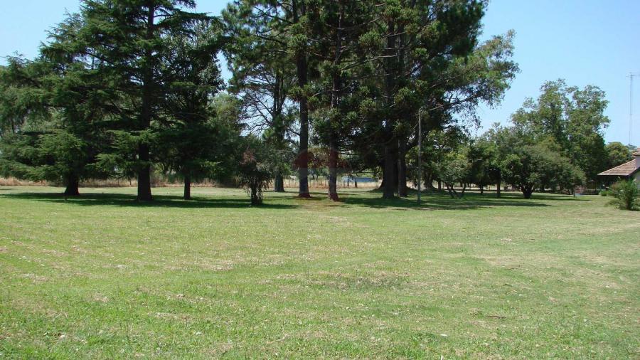 Casa Campo en venta, Arenaza, Lincoln, BA 6075