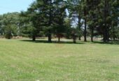 Casa Campo en venta, Arenaza, Lincoln, BA 6075