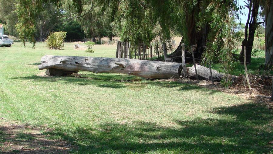 Casa Campo en venta, Arenaza, Lincoln, BA 6075