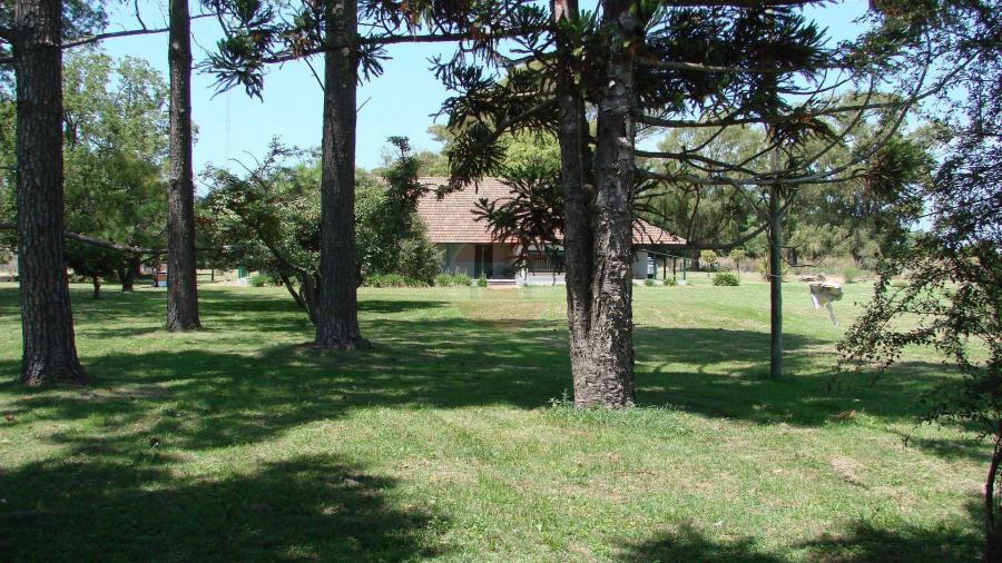 Casa Campo en venta, Arenaza, Lincoln, BA 6075