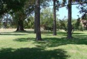 Casa Campo en venta, Arenaza, Lincoln, BA 6075