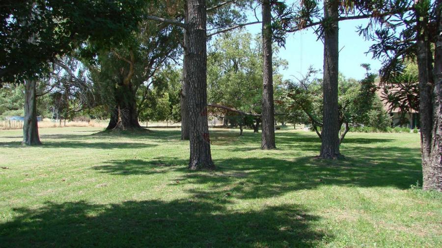 Casa Campo en venta, Arenaza, Lincoln, BA 6075