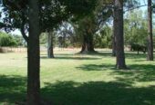 Casa Campo en venta, Arenaza, Lincoln, BA 6075