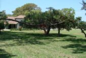 Casa Campo en venta, Arenaza, Lincoln, BA 6075