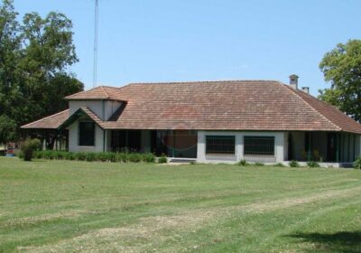Campo-en-Arenaza-DSC08952-46
