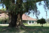 Casa Campo en venta, Arenaza, Lincoln, BA 6075