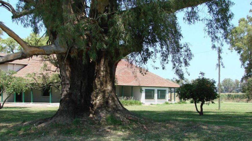 Casa Campo en venta, Arenaza, Lincoln, BA 6075