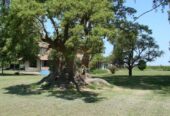 Casa Campo en venta, Arenaza, Lincoln, BA 6075
