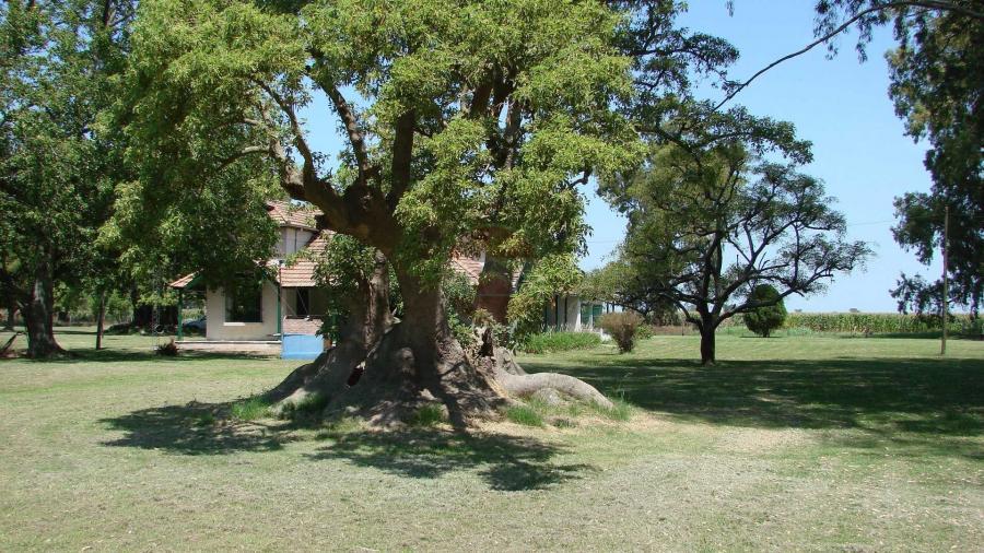 Casa Campo en venta, Arenaza, Lincoln, BA 6075