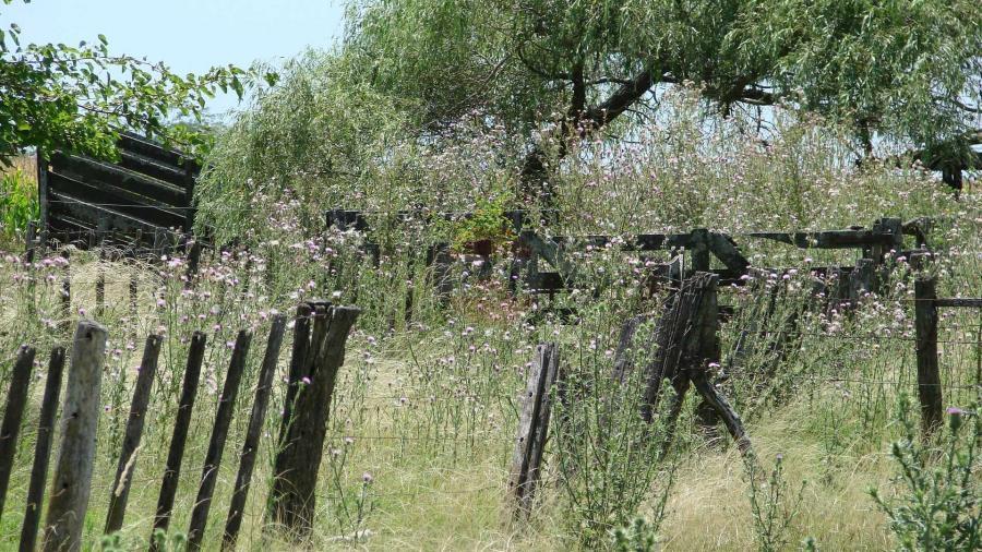 Casa Campo en venta, Arenaza, Lincoln, BA 6075