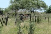 Casa Campo en venta, Arenaza, Lincoln, BA 6075