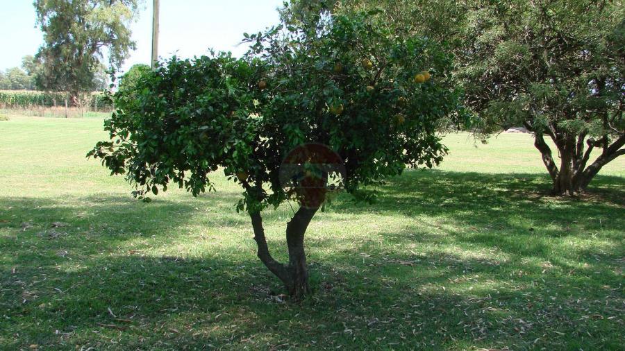 Casa Campo en venta, Arenaza, Lincoln, BA 6075