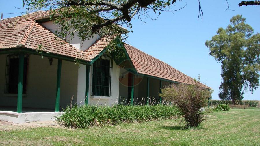 Casa Campo en venta, Arenaza, Lincoln, BA 6075