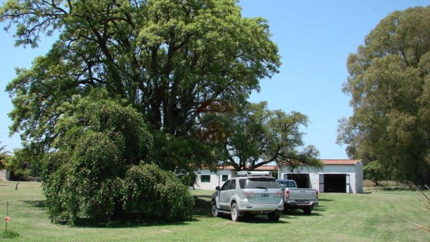 Casa Campo en venta, Arenaza, Lincoln, BA 6075