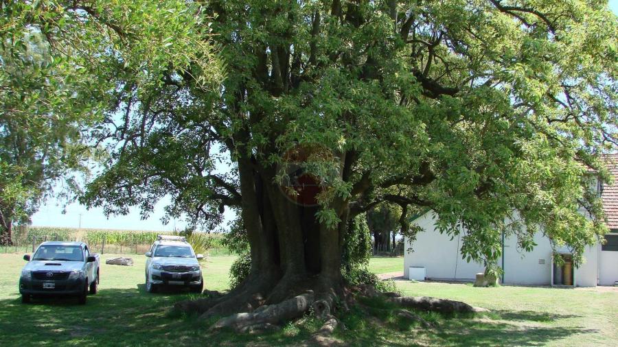 Casa Campo en venta, Arenaza, Lincoln, BA 6075