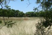 Casa Campo en venta, Arenaza, Lincoln, BA 6075
