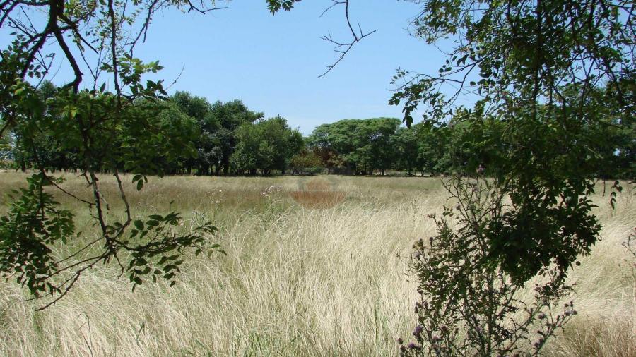 Casa Campo en venta, Arenaza, Lincoln, BA 6075