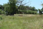 Casa Campo en venta, Arenaza, Lincoln, BA 6075
