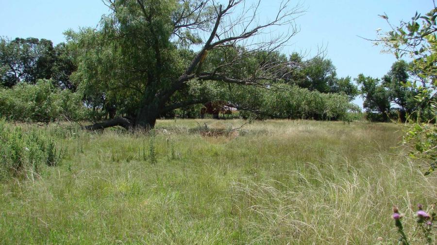 Casa Campo en venta, Arenaza, Lincoln, BA 6075