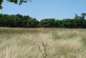 Casa Campo en venta, Arenaza, Lincoln, BA 6075