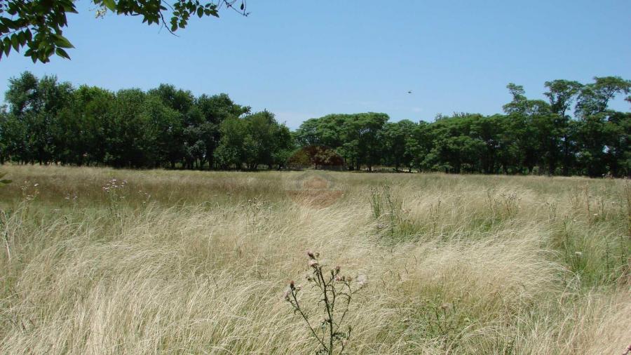 Casa Campo en venta, Arenaza, Lincoln, BA 6075