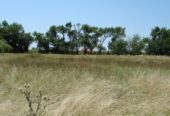 Casa Campo en venta, Arenaza, Lincoln, BA 6075