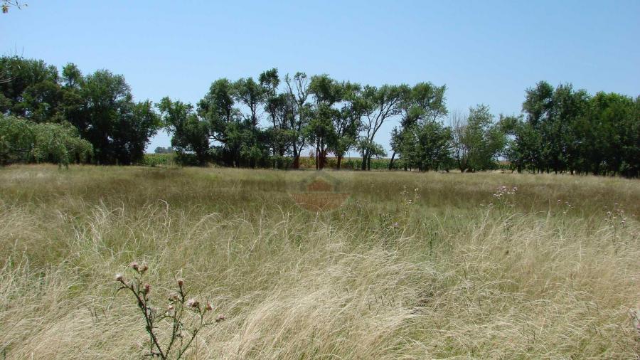 Casa Campo en venta, Arenaza, Lincoln, BA 6075