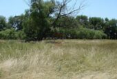 Casa Campo en venta, Arenaza, Lincoln, BA 6075