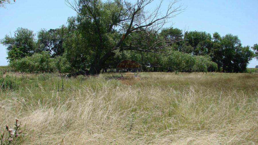 Casa Campo en venta, Arenaza, Lincoln, BA 6075